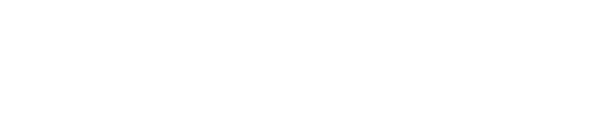 Metro Logo