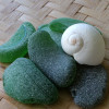All top quality seafoam sea glass pieces with a shell.
Perfect for jewelry or display.
These are the EXACT pieces you will receive!