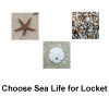 Choose Sea Life For Locket