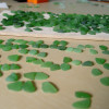 Sorting sea glass for earrings takes hours upon hours. We not only match for shape, size and color but also for degree of frost, quality and thickness. It can take hundreds of pieces of sea glass of similar size to find just one pair.