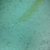 Tropical Sunbeam -  Aqua Green Genuine Sea Glass Pendant In Tiffany Deluxe Wire Bezel Setting© 