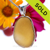 Brilliant Yellow Golden Sea Glass Pendant In Sterling & Gold Deluxe Wire Bezel