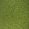 A close up detail of this EXACT piece of Sea Glass Jewelry - Note the telltale "C"'s that indicate top quality and genuine sea glass