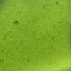 August Beachlover - Vivid Lime Sea Glass In Original Silver Wire Bezel© Pendant