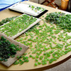 We meticulously sort though hundreds of pieces of beach found sea glass to find one pair that is similar in shape, size and hue! 