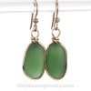 Longer Thick Seaweed Green Genuine Beach Found Sea Glass In Gold Original Bezel© Earrings