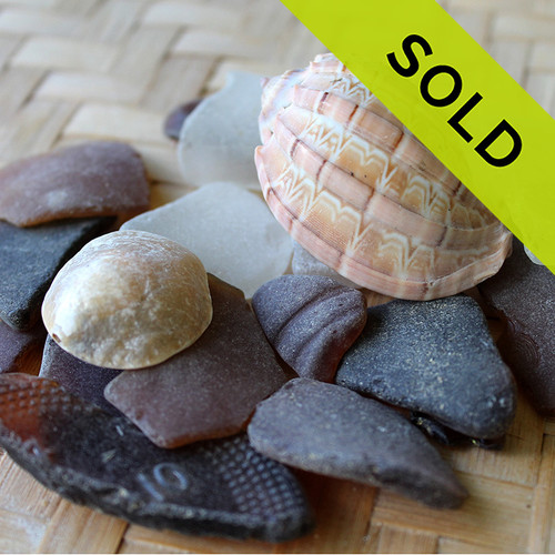 Beach Combers Special - Brown and White Sea Glass With Shells