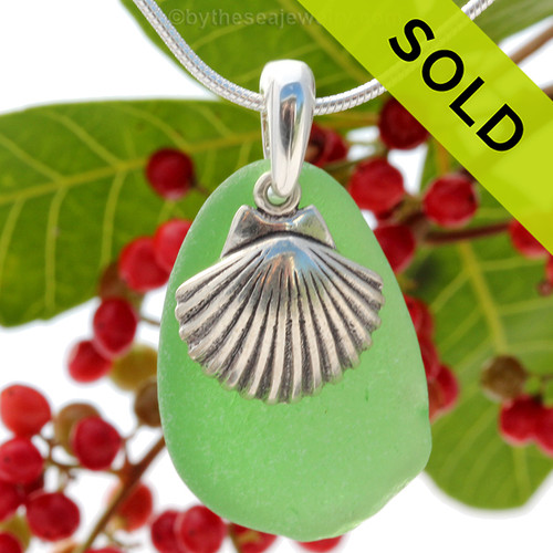 A Large Olive  Green Sea Glass With Sterling Silver Large Sea Shell Charm - 18" STERLING CHAIN INCLUDED .
SOLD- Sorry this Sea Glass Necklace is no longer available.