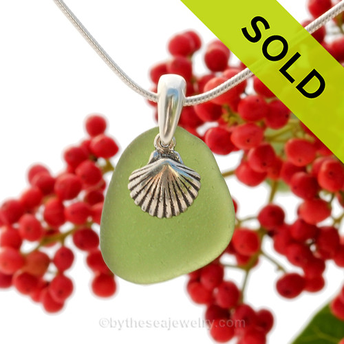 Bright Seaweed Green Sea Glass With Sterling Silver Sea Shell Charm - 18" STERLING CHAIN INCLUDED.
SOLD - Sorry This Sea Glass Jewerly Selection Is NO LONGER AVAILABLE!