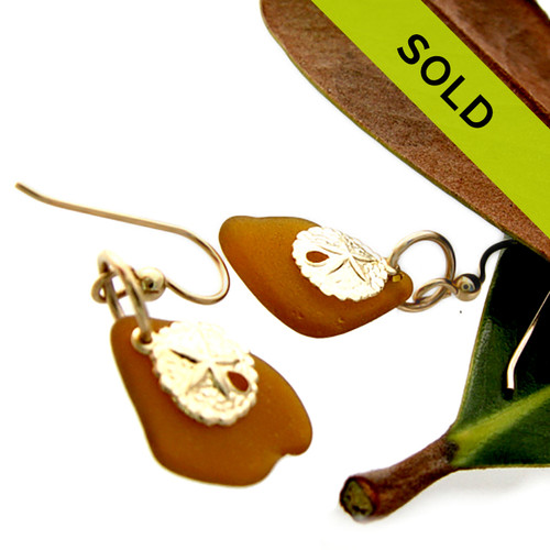 Sea Charmed - Bright Amber Sea Glass W/ Sandollars