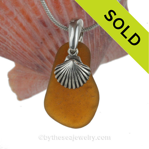 Amber Brown Sea Glass With Shell Charm - S/S CHAIN INCLUDED 