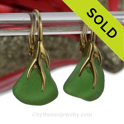 Green Beach Found Sea Glass Earrings on 24K Gold Vermeil Coral Branch Leverbacks