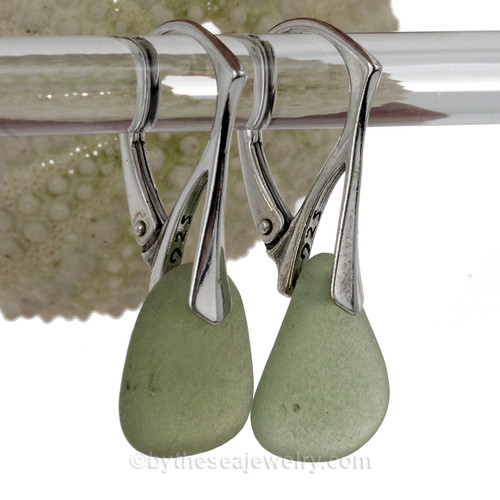 Olive Green sea glass pieces really on solid sterling silver leverbacks. 