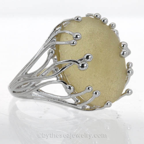Warm Butter English Sea Glass Anemone Ring In Sterling - Adjustable 