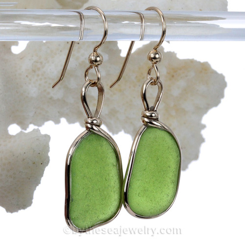 Lime Green Genuine Sea Glass Earrings 