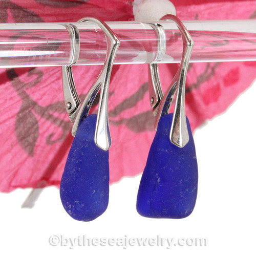 Thick Vivid Blue Sea Glass Earrings on Solid Sterling Leverbacks 