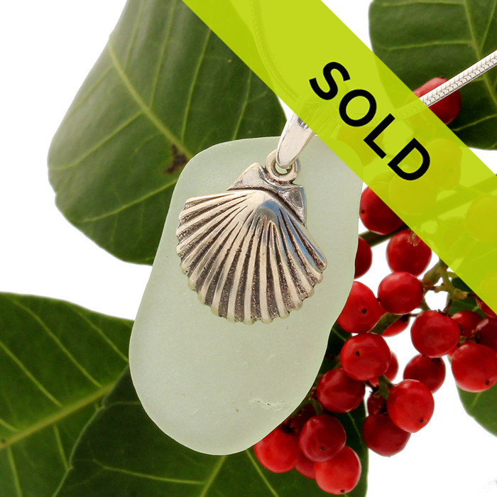 Beautiful seafoam green beach found sea glass combined with a solid sterling LARGE shell charm and presented on a solid Sterling silver snake chain.