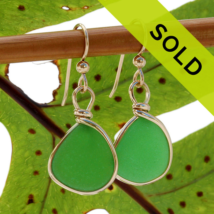 Natural Genuine UNALTERED sea glass pieces in a unusual green expertly wrapped in 14K Rolled Gold for a lovely classic pair of genuine beach found sea glass earrings!