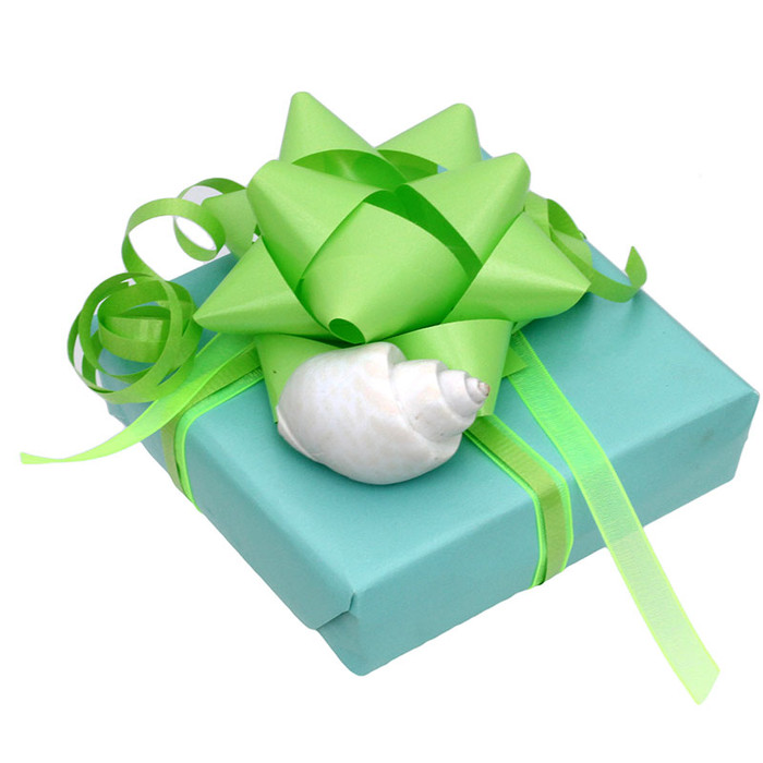 Our Regular gift wrapping comes in a Tiffany blue with green ribbons and bows.