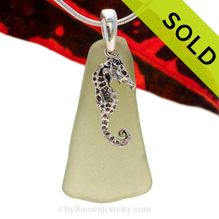 LARGER Seaweed Green or Peridot sea glass set on a Solid Sterling Cast bail with a Sterling Silver Seahorse Charm -  Quality Chain INCLUDED!
SOLD - Sorry this Sea Glass Necklace is NO LONGER AVAILABLE!