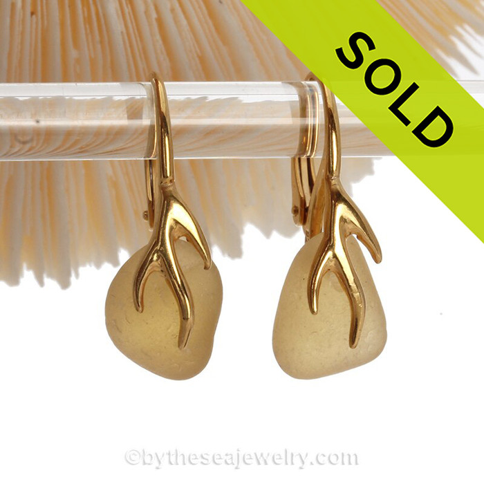 Golden Yellow Seaham Sea Glass Earrings on 24K Gold Vermeil Coral Branch Earrings