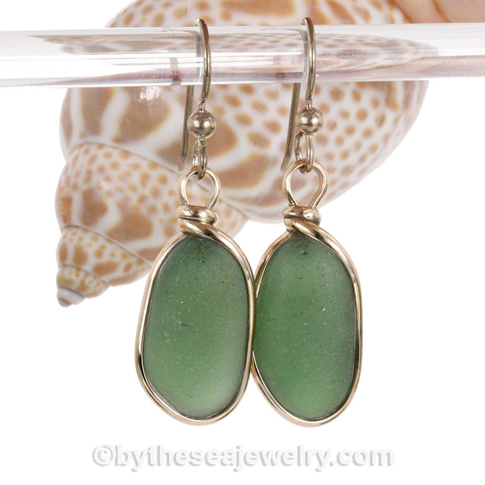 Longer Thick Seaweed Green Genuine Beach Found Sea Glass In Gold Original Bezel© Earrings