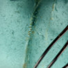 A macro closeup detail of this EXACT jewelry piece shows you all the qualities of GENUINE natural beach found sea glass.