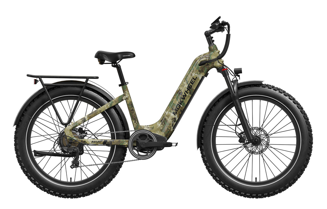 Basalt ST Power Station E-Bike
