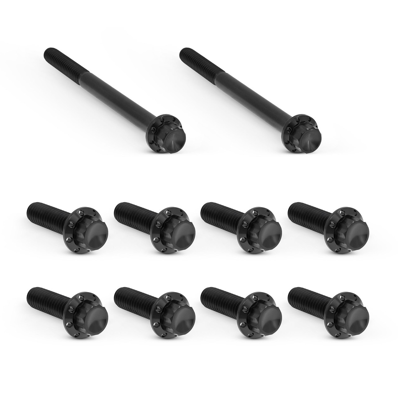 Arlen Ness 12-Point Transmission Bolt Kit Polished Titanium Harley