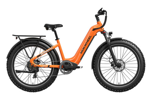Basalt ST Power Station E-Bike