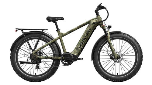 Basalt Power Station E-Bike
