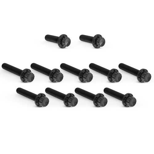 Arlen Ness 12-Point Cam Cover Bolt Kit Black Titanium