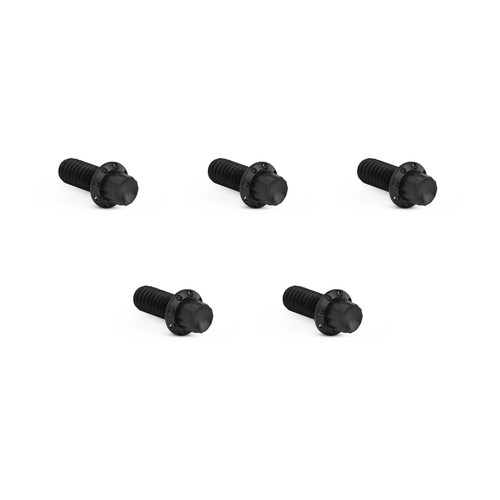 Arlen Ness 12-Point Derby Cover Bolt Kit Black Titanium