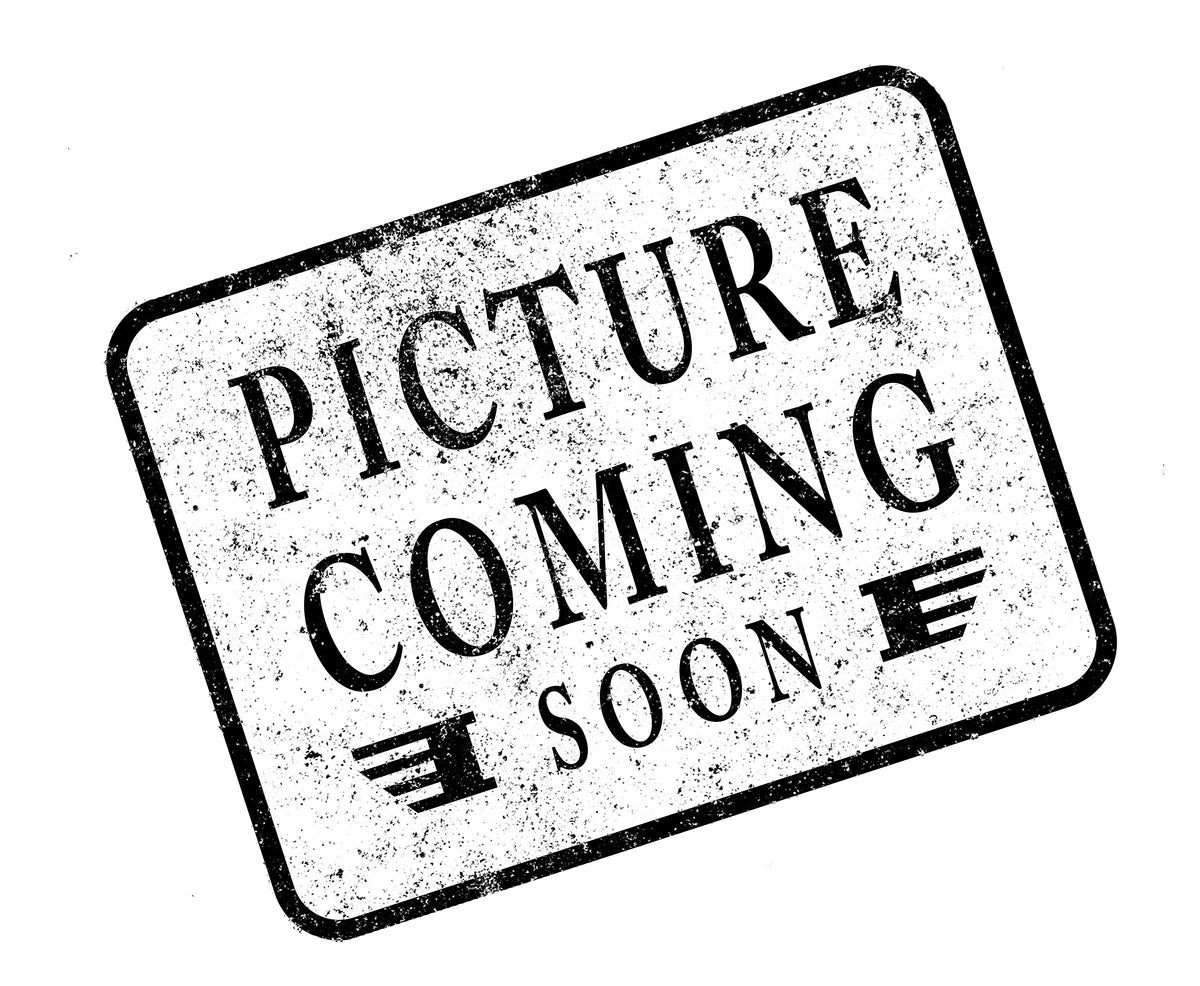 Original Garage Moto Twin Cam Points Cover Orange