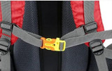 60L Trekking Backpack | Ventilated Back
