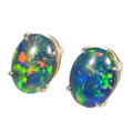 BRIGHTEST FLASH 14KT YELLOW GOLD AUSTRALIAN OPAL STUD EARRINGS