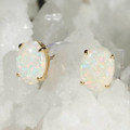 ECHO BRILLIANCE 14KT GOLD NATURAL AUSTRALIAN WHITE OPAL STUD EARRINGS