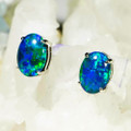 *1 GEOGRIA 14KT WHITE GOLD AUSTRALIAN OPAL EARRINGS