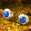 OPALESSENT GLOW STERLING SILVER AUSTRALIAN OPAL STUD EARRINGS