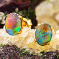 AMBROSEREGENT 14KT GOLD AUSTRALIAN OPAL STUD EARRINGS