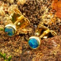 * A SOLSTICE WHISPER 14KT GOLD AUSTRALIAN OPAL STUD EARRINGS