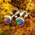 * 1 LUSTREBOUND 14KT WHITE GOLD AUSTRALIAN OPAL STUD EARRINGS