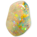 Rainbow Spark Opalized Shell (30 million Years old shell)