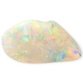 Celestial Glow Opalized Shell (30 million Years old shell)