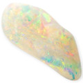 Celestial Glow Opalized Shell (30 million Years old shell)