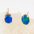 *A ELECTRIC RAINFOREST STERLING SILVER AUSTRALIAN OPAL STUD EARRINGS