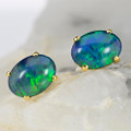 OCEANS MEDITATION 18KT YELLOW GOLD PLATED AUSTRALIAN OPAL STUD EARRINGS