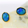 * A BLUE IVY GOLD PLATED AUSTRALIAN OPAL STUD EARRINGS