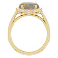 Oval White Opal 1_Yellow Gold_Oval