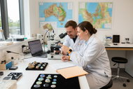 What Is Opal Formation? Complete Scientific Breakdown